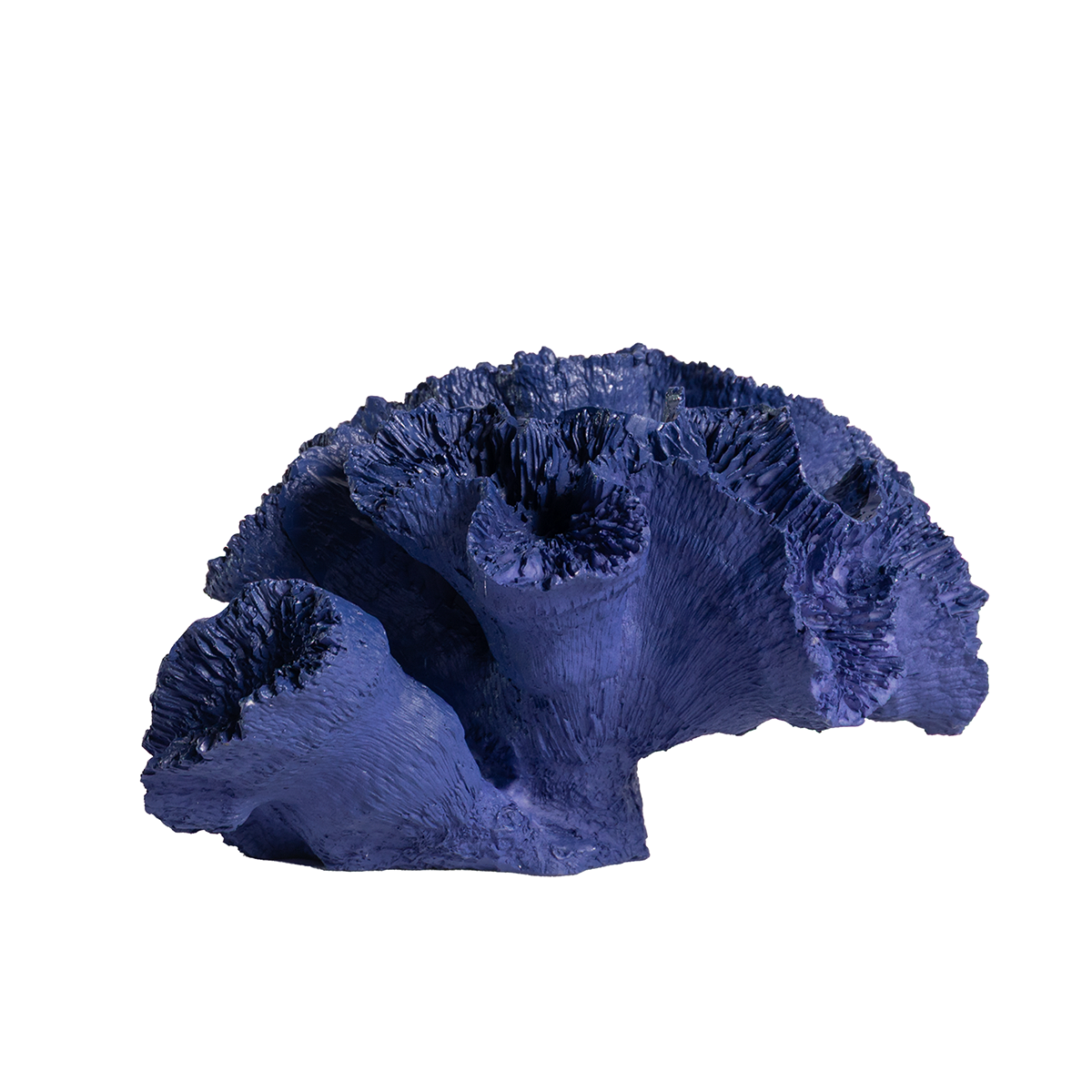 Indigo coral sea flower decorative object